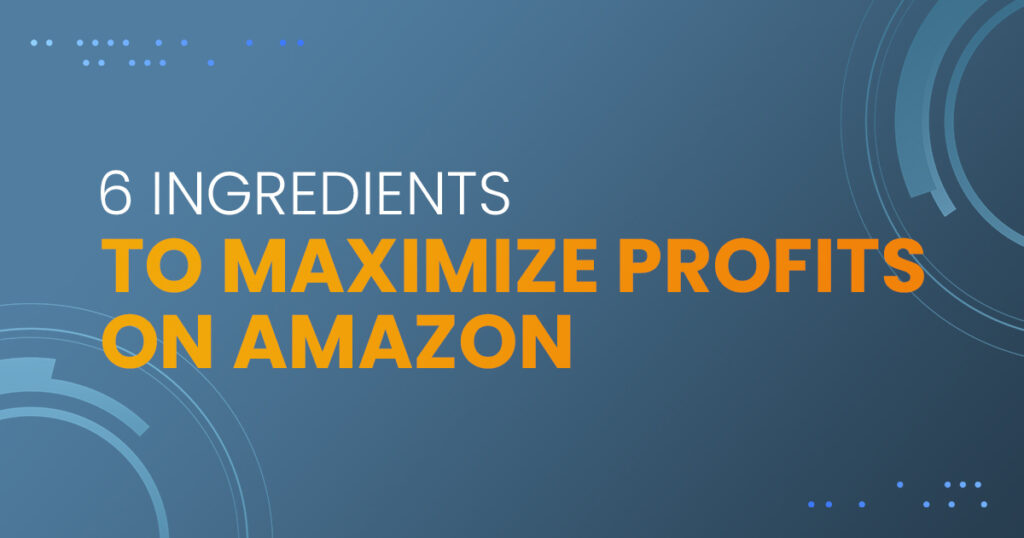 6 Ingredients to Maximize Profits on Amazon